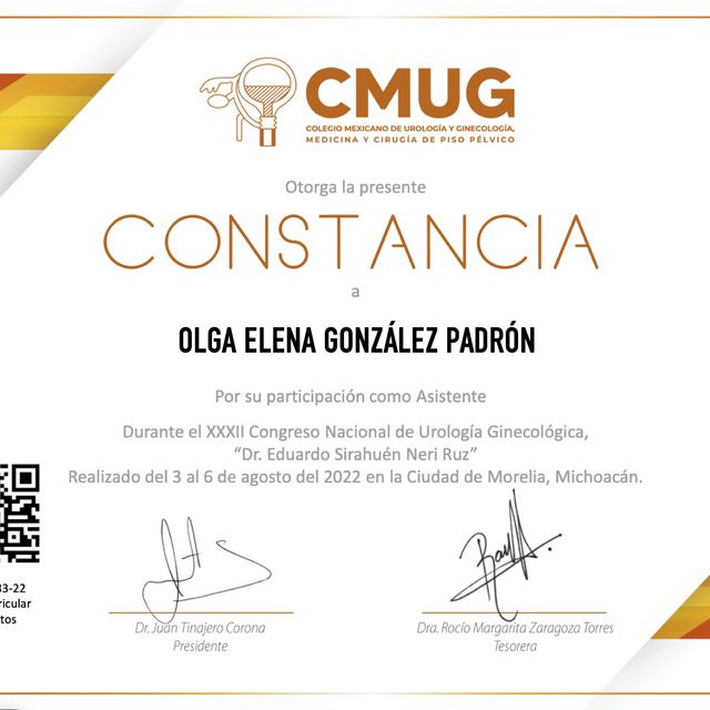 Ampliar imagen: certificate 4