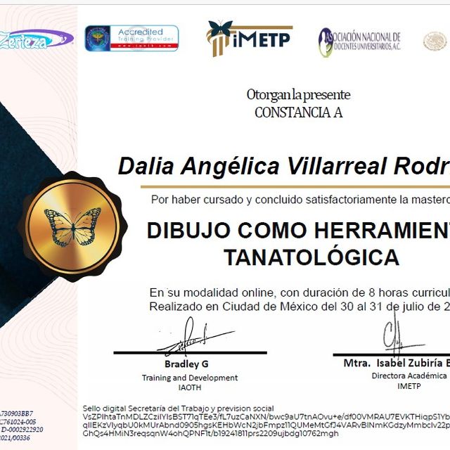 Ampliar imagen: certificate 9