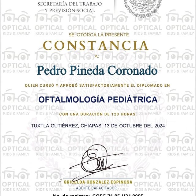 Ampliar imagen: certificate 1