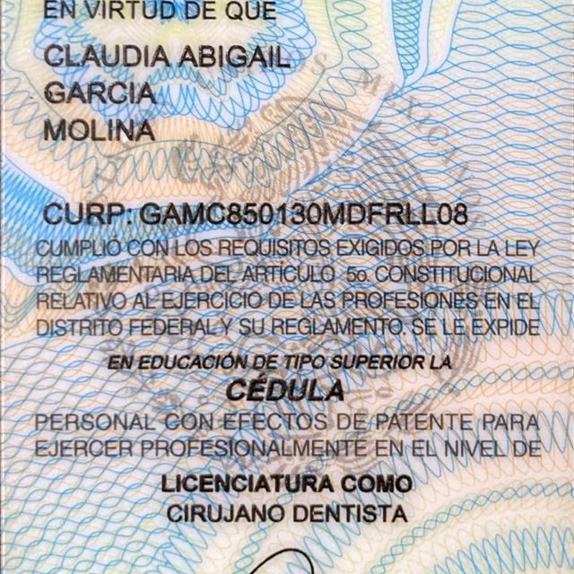 Ampliar imagen: certificate 2