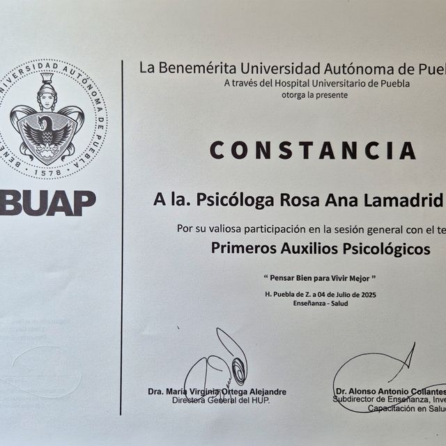 Ampliar imagen: certificate 8