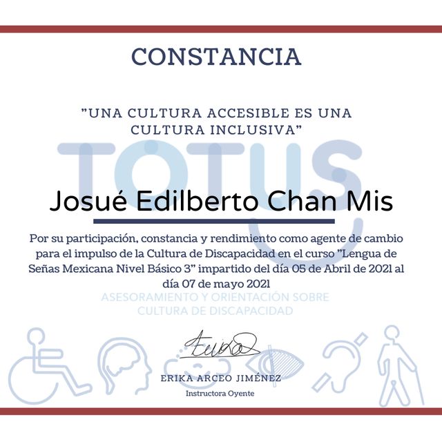 Ampliar imagen: certificate 8