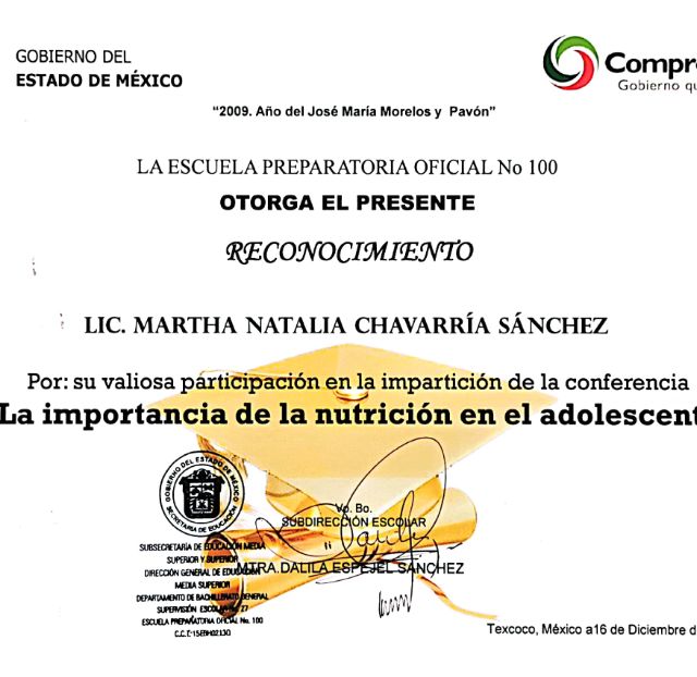Ampliar imagen: certificate 13