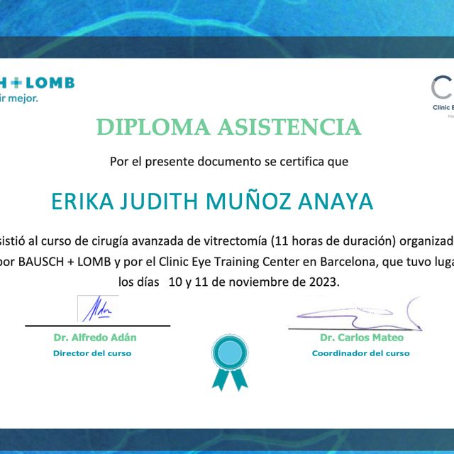 Ampliar imagen: certificate 5