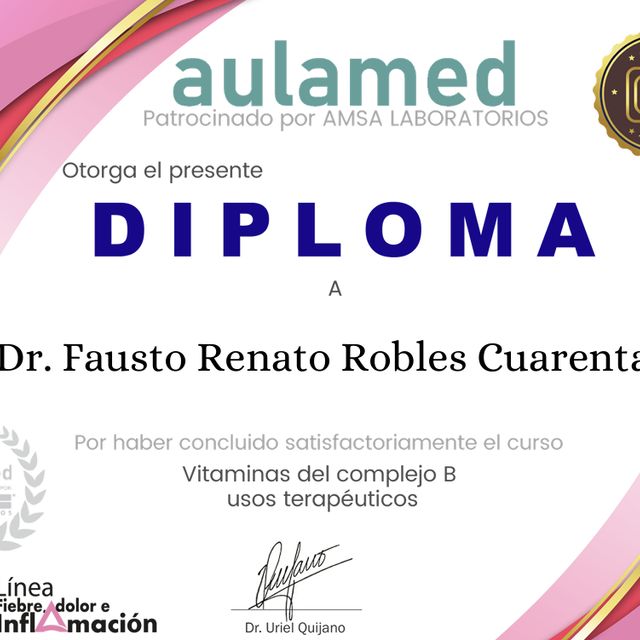 Ampliar imagen: certificate 42