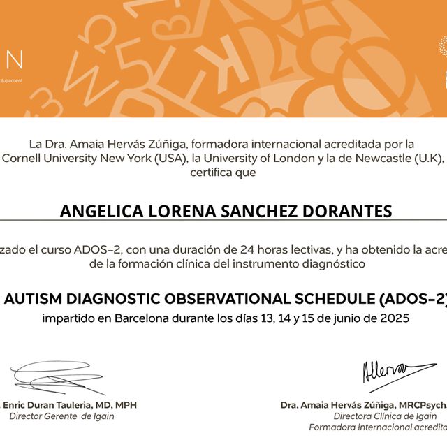 Ampliar imagen: certificate 7