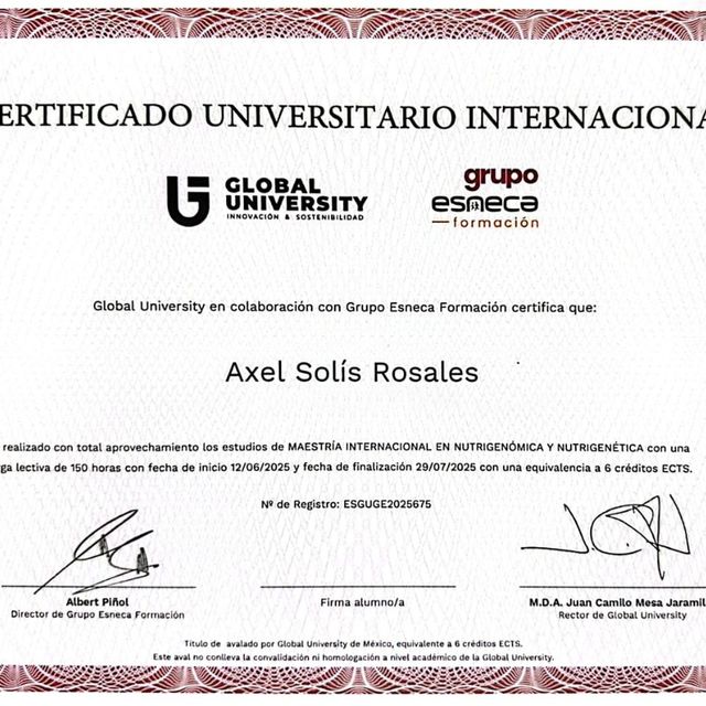 Ampliar imagen: certificate 20