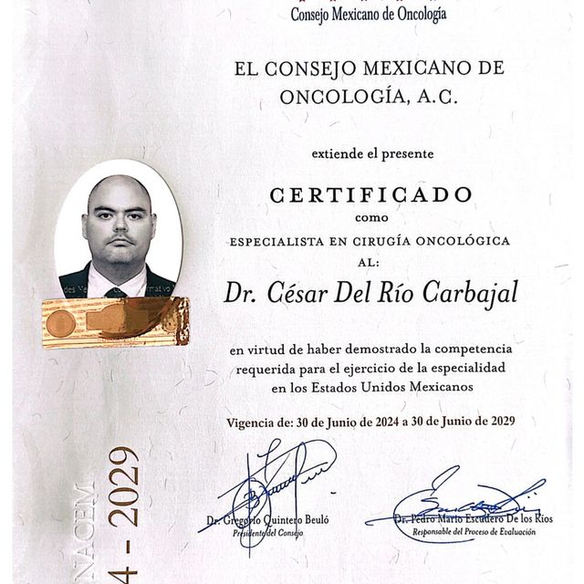 Ampliar imagen: certificate 1
