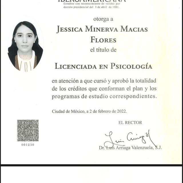 Ampliar imagen: certificate 3