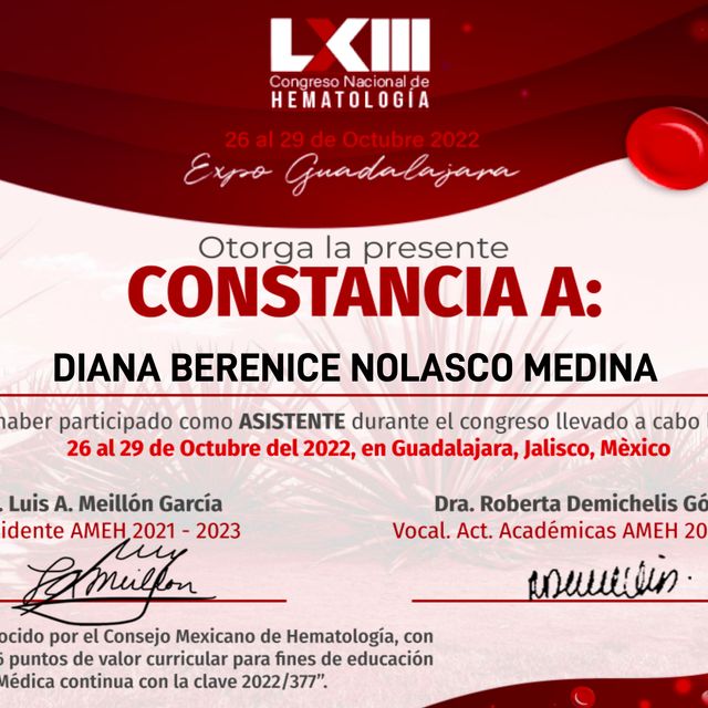 Ampliar imagen: certificate 9