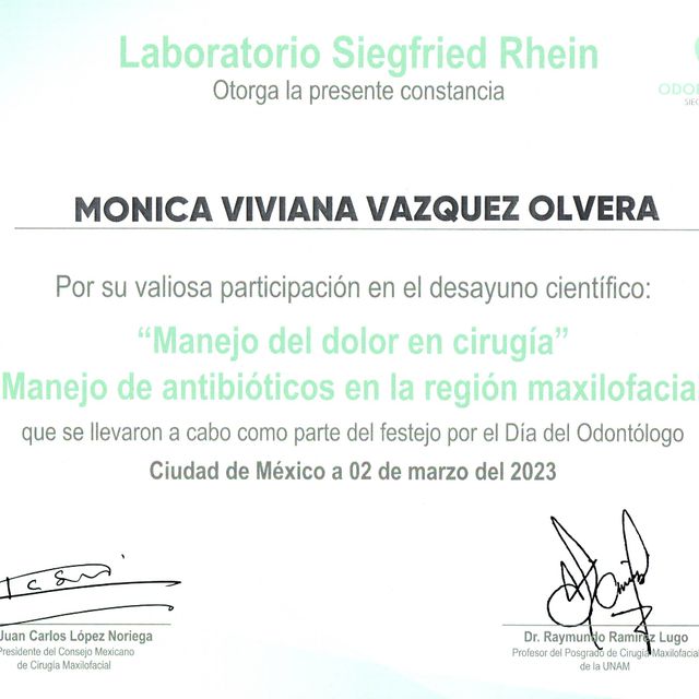 Ampliar imagen: certificate 48