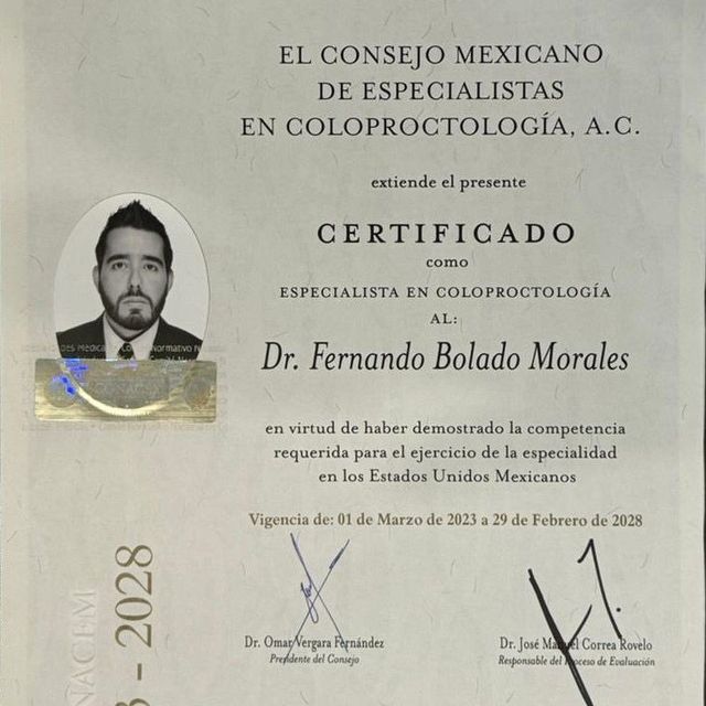 Ampliar imagen: certificate 2