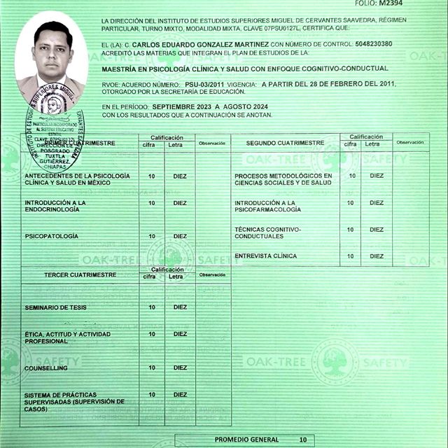 Ampliar imagen: certificate 3