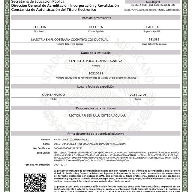 Ampliar imagen: certificate 4