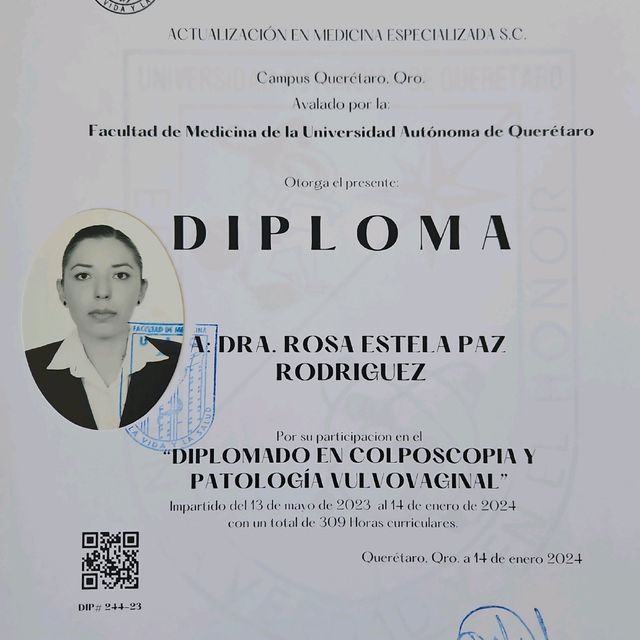 Ampliar imagen: certificate 3