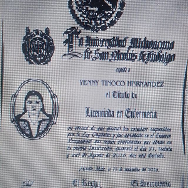 Ampliar imagen: certificate 8