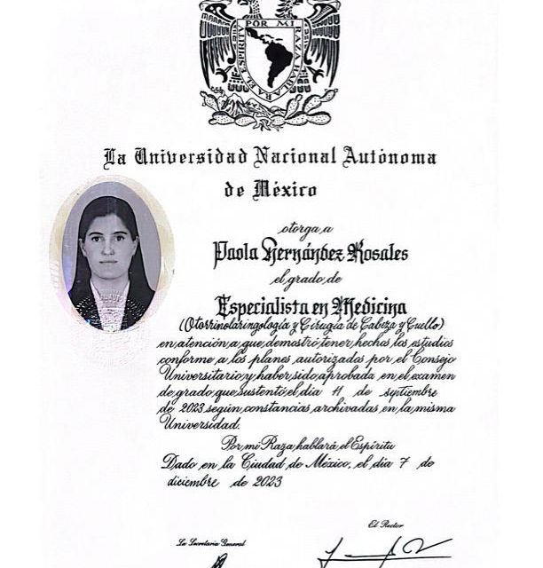 Ampliar imagen: certificate 5