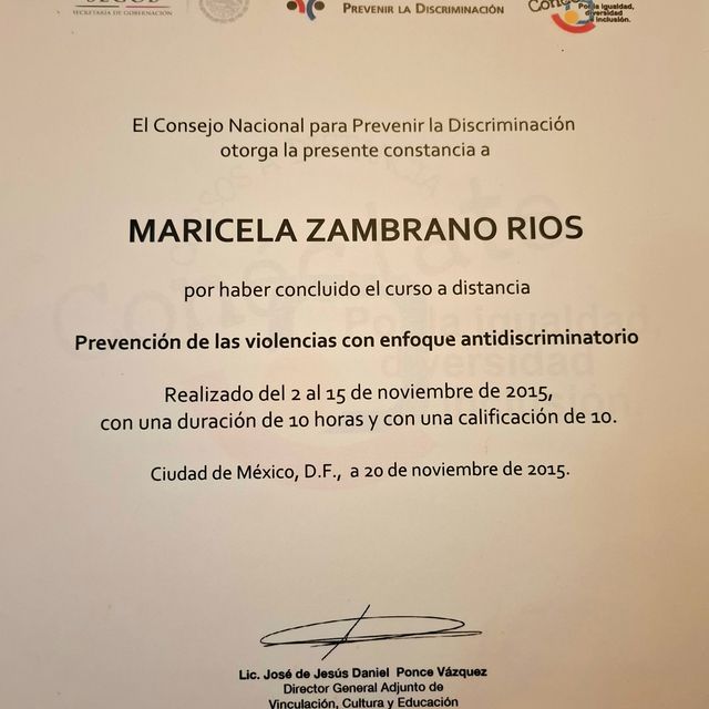 Ampliar imagen: certificate 13