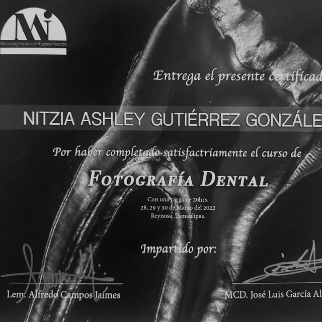 Ampliar imagen: certificate 7