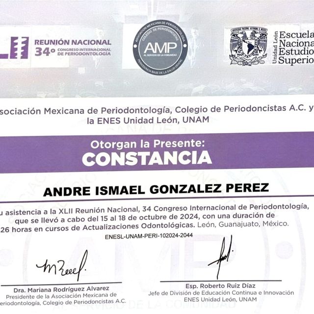 Ampliar imagen: certificate 13
