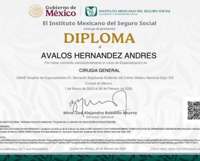 Ampliar imagen: certificate 3