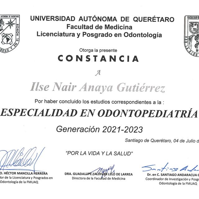Ampliar imagen: certificate 13