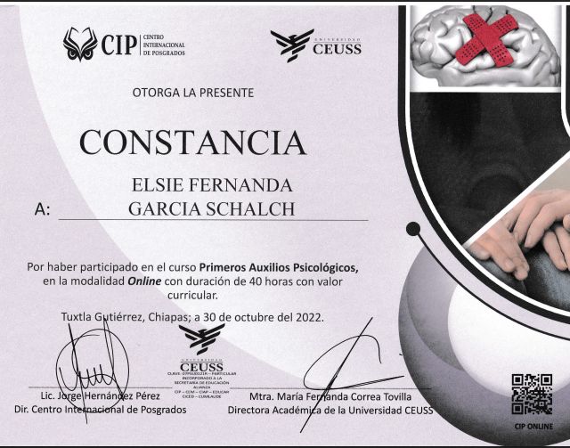 Ampliar imagen: certificate 5