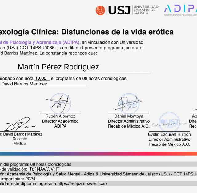 Ampliar imagen: certificate 9