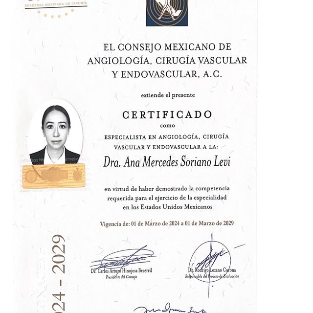Ampliar imagen: certificate 1