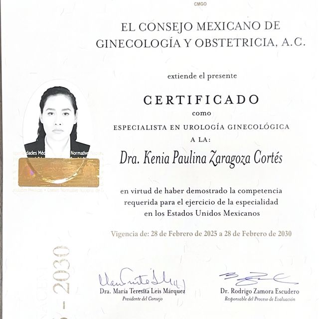 Ampliar imagen: certificate 4