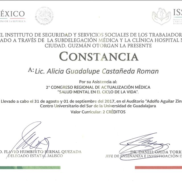 Ampliar imagen: certificate 9