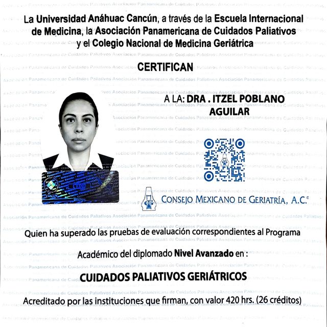 Ampliar imagen: certificate 4