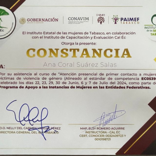 Ampliar imagen: certificate 7