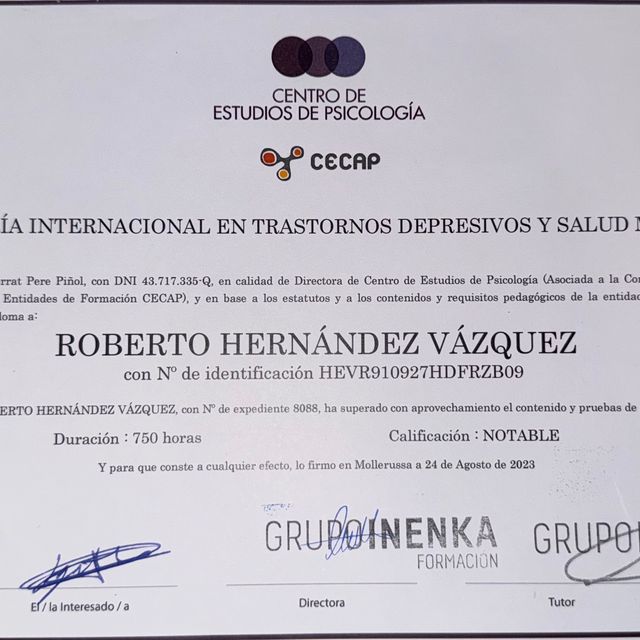 Ampliar imagen: certificate 2