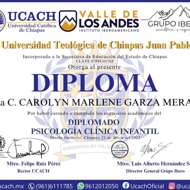 Ampliar imagen: certificate 2