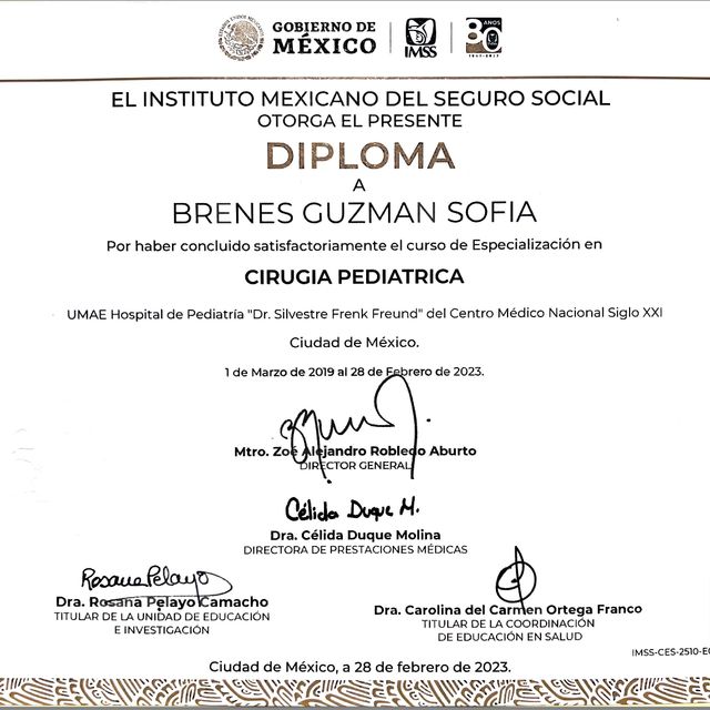 Ampliar imagen: certificate 2