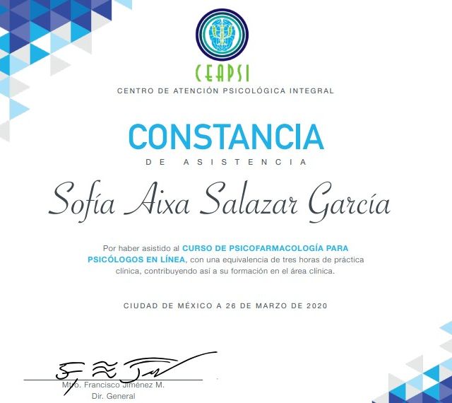 Ampliar imagen: certificate 2