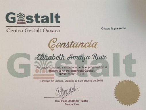 Ampliar imagen: certificate 2