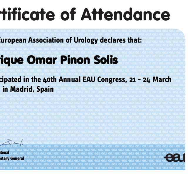 Ampliar imagen: certificate 2