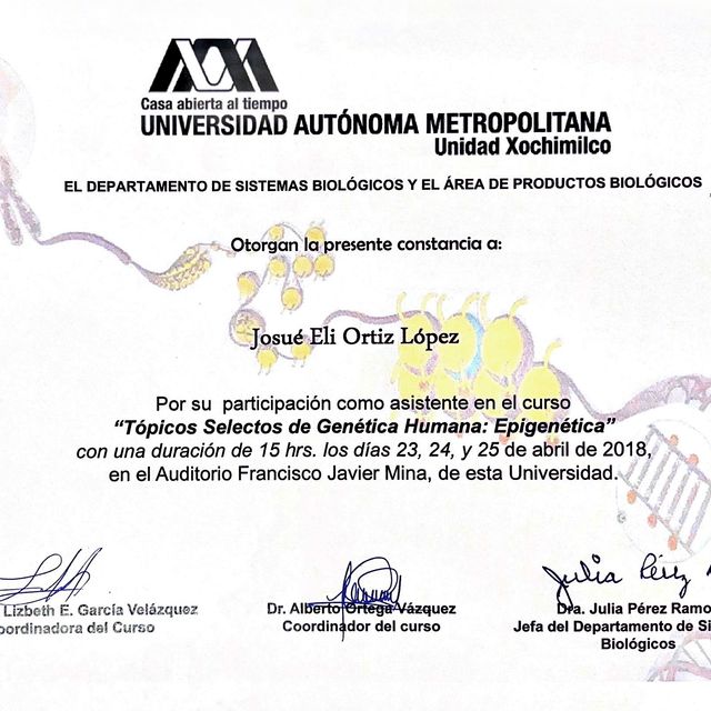 Ampliar imagen: certificate 31