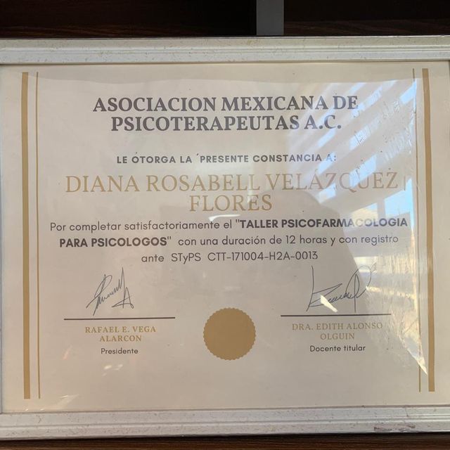 Ampliar imagen: certificate 3