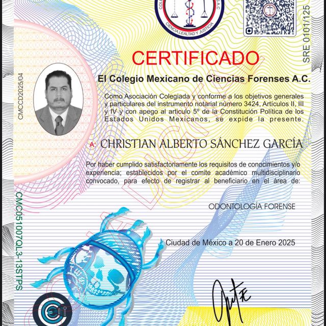 Ampliar imagen: certificate 17