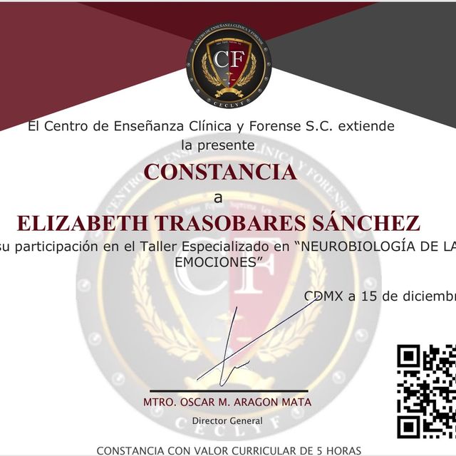 Ampliar imagen: certificate 3