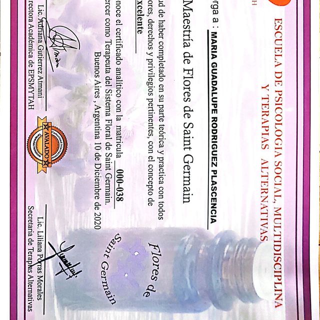 Ampliar imagen: certificate 29