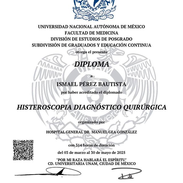Ampliar imagen: certificate 3