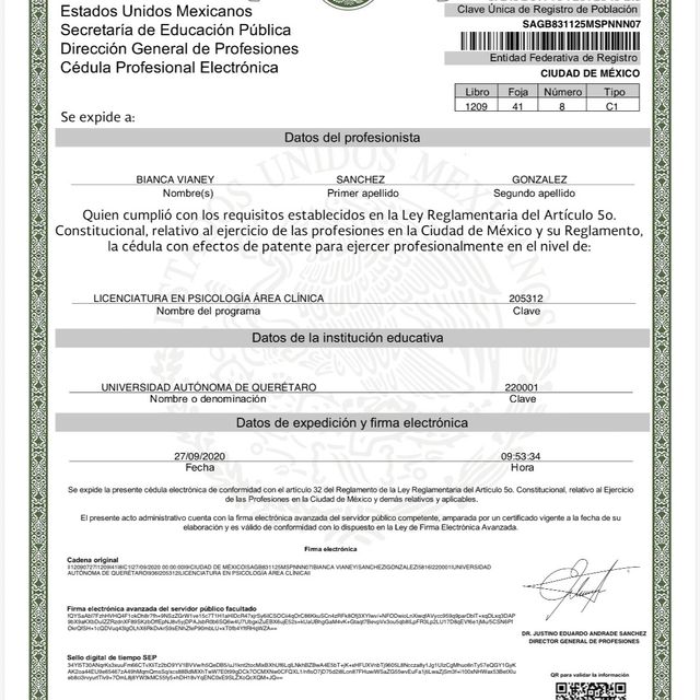 Ampliar imagen: certificate 3