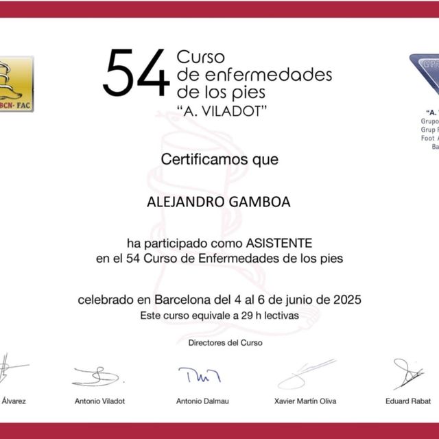 Ampliar imagen: certificate 4