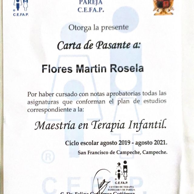 Ampliar imagen: certificate 3