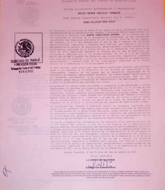 Ampliar imagen: certificate 6