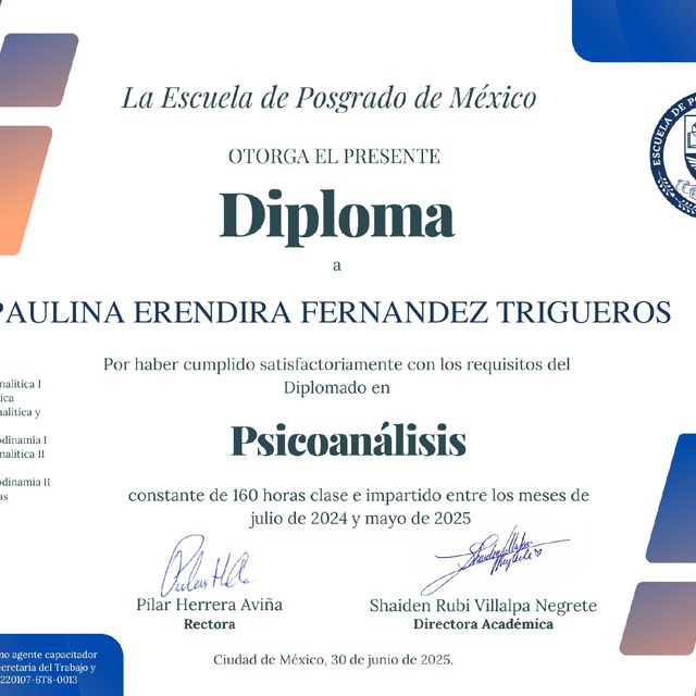 Ampliar imagen: certificate 5